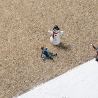 Auhagen 75609 HO Grasfasern Wintergras 2,5 mm