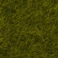 Noch 07100  Wildgras “Wiese”