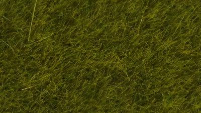 Noch 07100  Wildgras “Wiese”