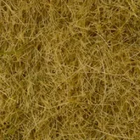 Noch 07101  Wildgras