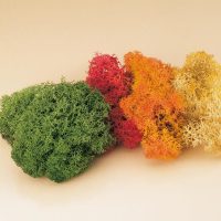 Auhagen 76560 HO Islandmoos farbig sortiert