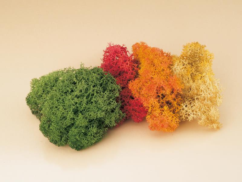 Auhagen 76560 HO Islandmoos farbig sortiert